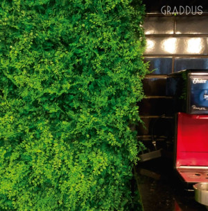 Painel verde vertical amazônia 50X50 graddus GG009A  - 