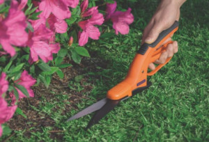 Tesoura para Grama Tramontina em Aço com Cabo Plástico - 