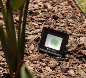 Refletor LED Licht Alumínio 8W - Decorativa Verde - Preto - 