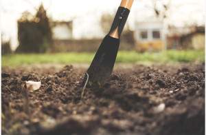 Cavadeira Reta Metálica Tramontina com Cabo de Madeira 120 cm
