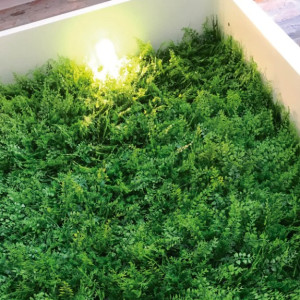 Painel verde vertical amazônia 50X50 graddus GG009A  - 