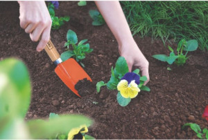 Pazinha Estreita Metálica para Jardinagem Tramontina com Cabo de Madeira