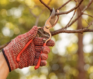 Tesoura de Poda Forjada Tramontina em Aço com Cabo Emborrachado - 