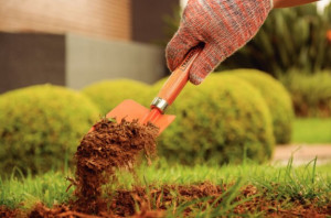 Pazinha Larga Metálica para Jardinagem Tramontina com Cabo de Madeira