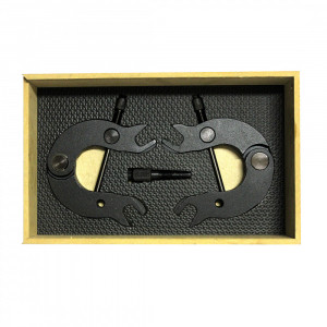 Conjunto para Sincronismo Audi - CR 446 - 