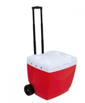 Caixa Térmica 42L Caixa Térmica 42L