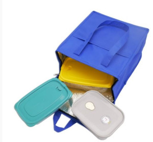 Bolsa Térmica 9 Litros Bolsa Térmica 9 Litros