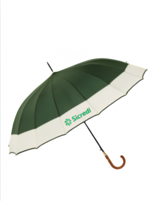 Guarda-chuva Automático