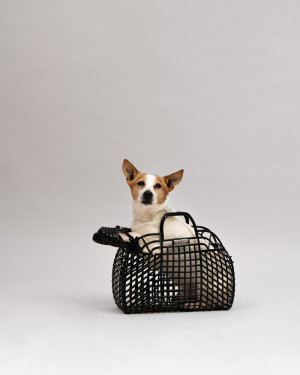 MINI MELISSA POSSESSION BB - 