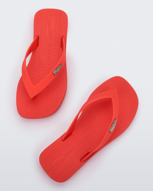 MINI MELISSA SUN LONG BEACH INF - 