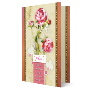 H-002 - Cartão Mãe!