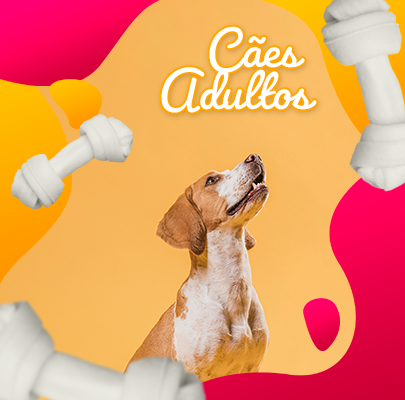 Banner Destaque Maior