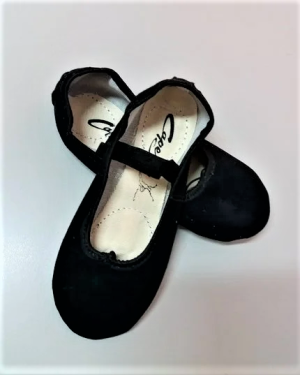 SAPATILHA CAPEZIO Ref:PONTA LONA