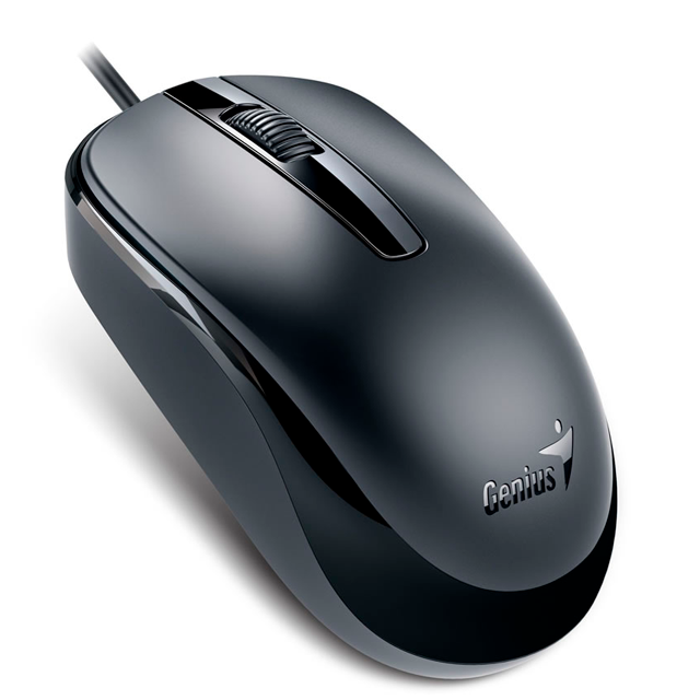 Mouse Genius DX-120 Black USB