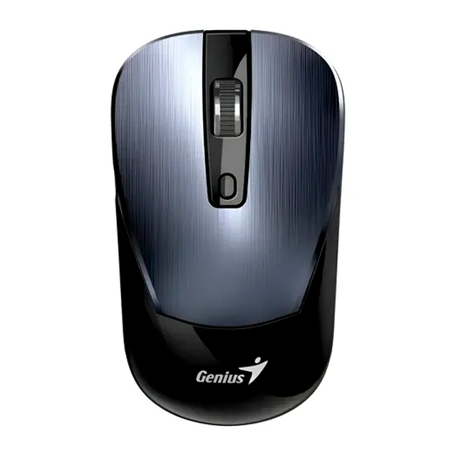 Mouse Genius NX-7125 Iron/Gray Wireless