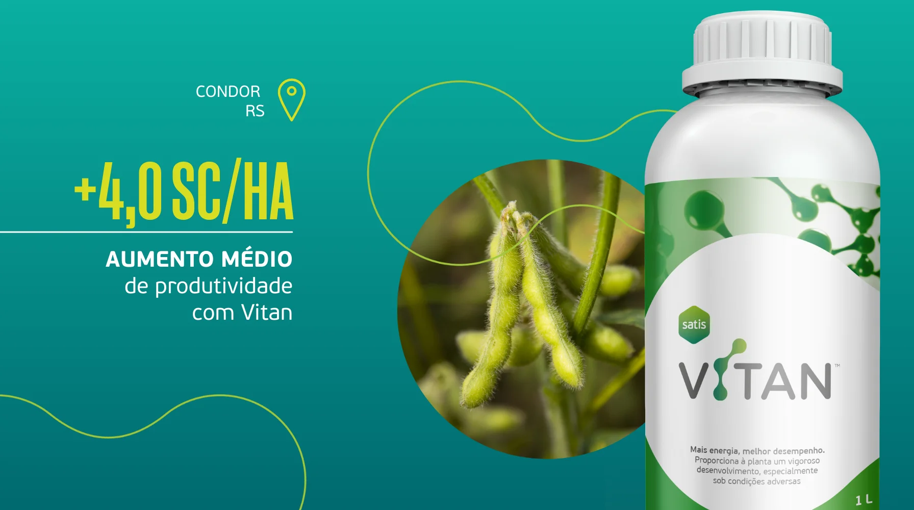 Maior produtividade na soja com Vitan