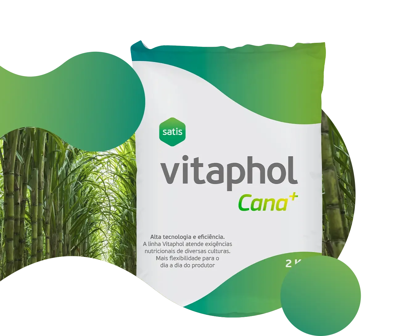 Mockup embalagem Vitaphol Cana +