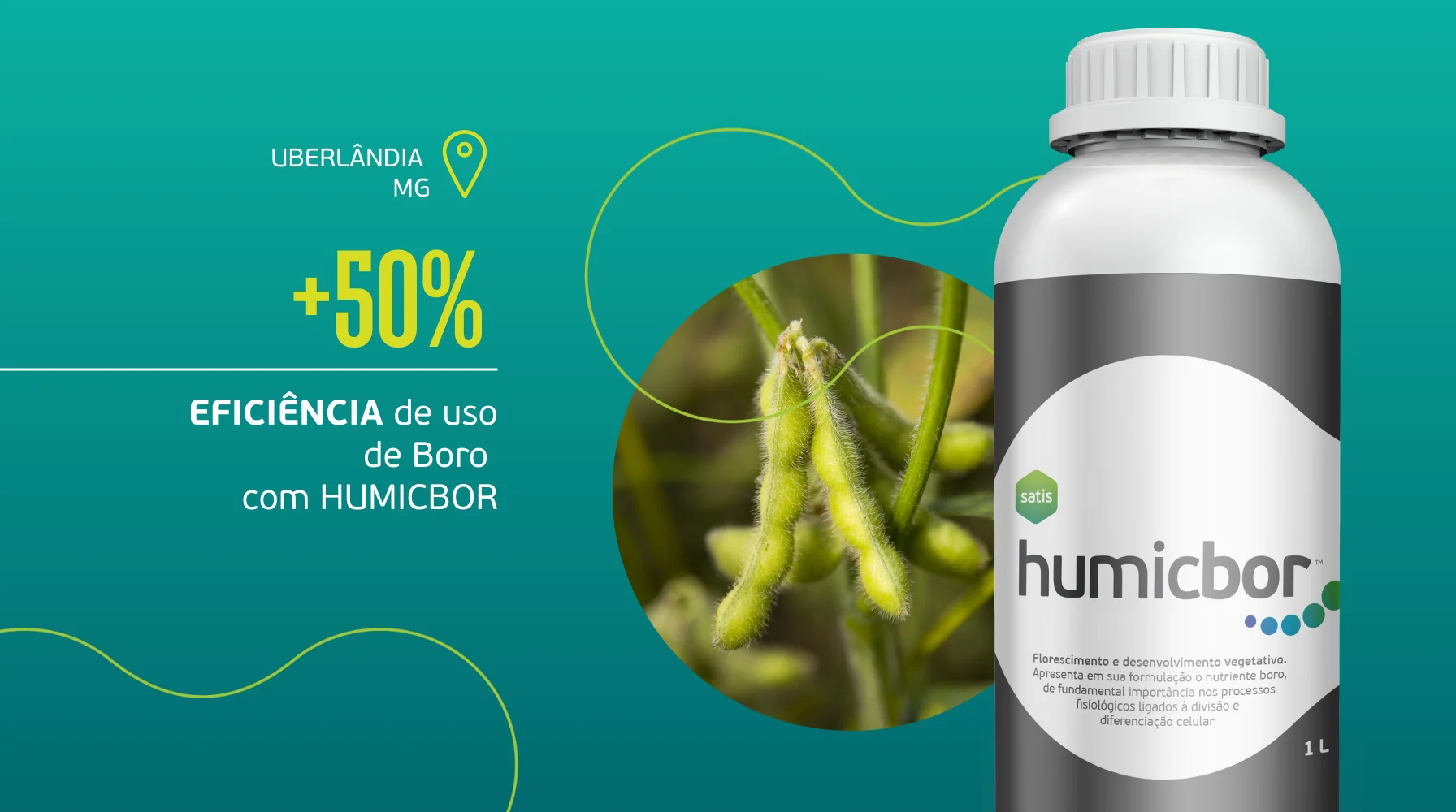 Melhores resultados na soja com Humicbor