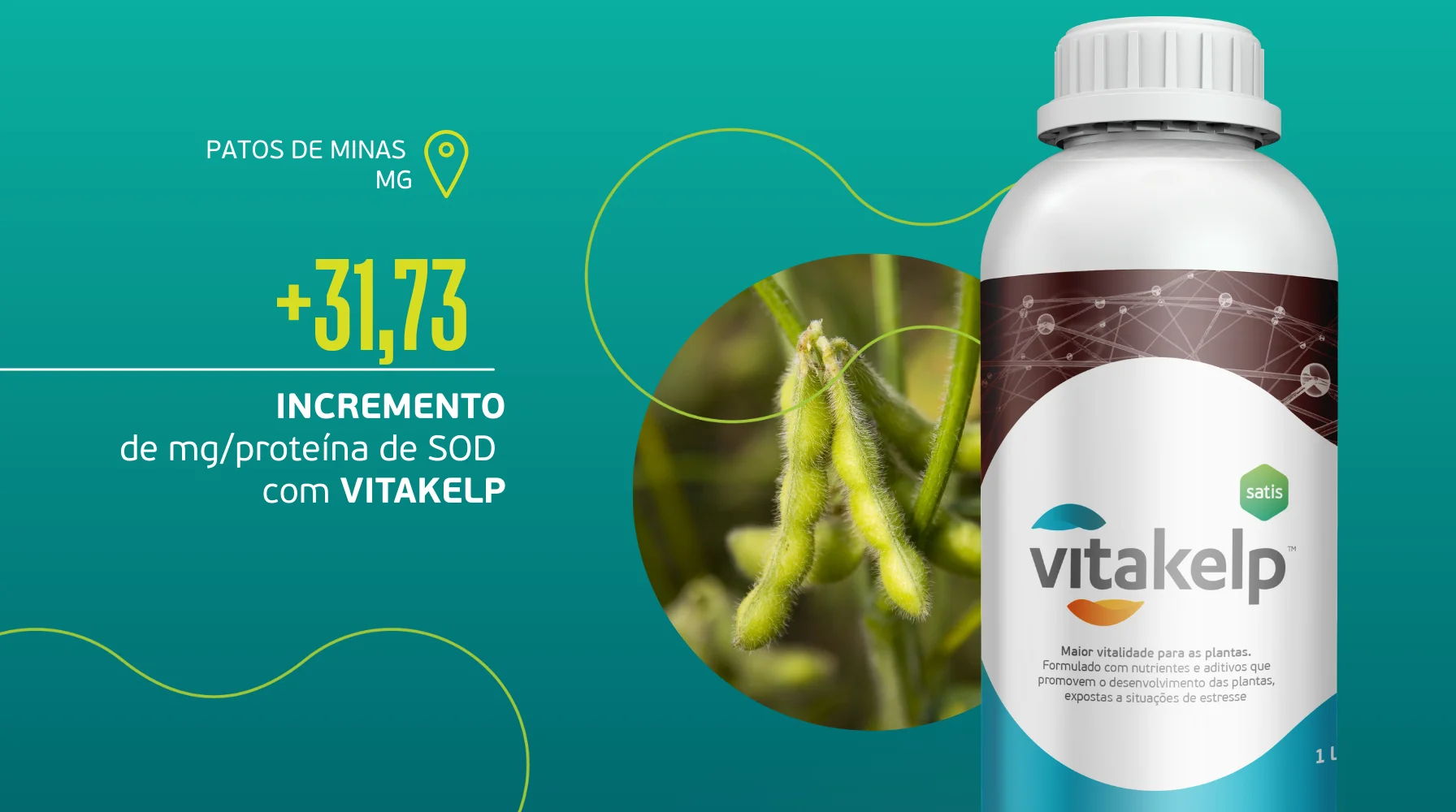 Vitakelp estimula redução de estresse na soja