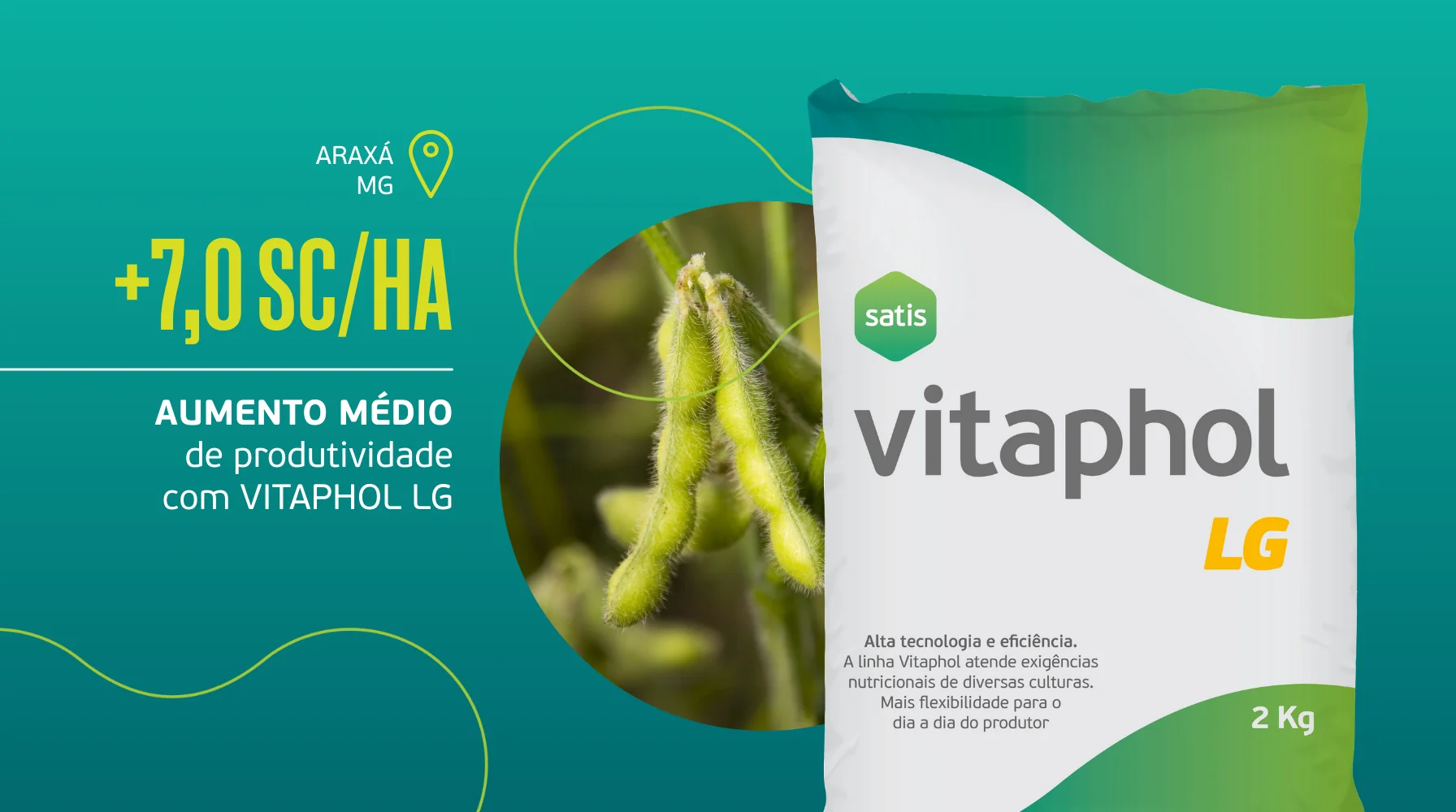 Maior produtividade e ação antioxidante na Soja com Vitaphol LG