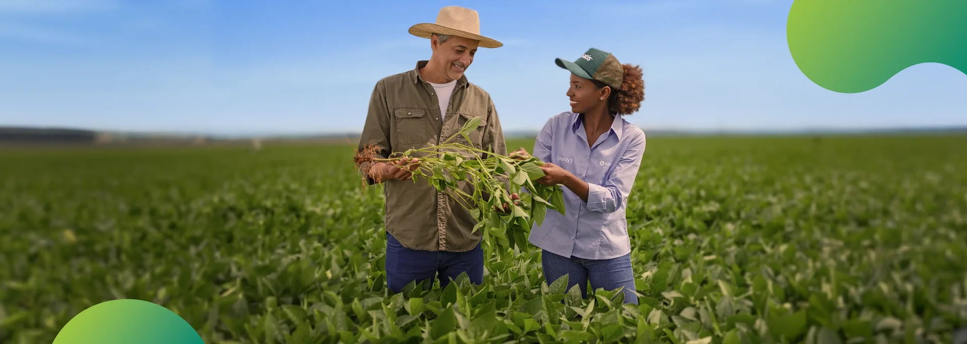 Campo de soja saudável com soluções de nutrição e tecnologia da Satis Agro para aumentar a produtividade e sustentabilidade.