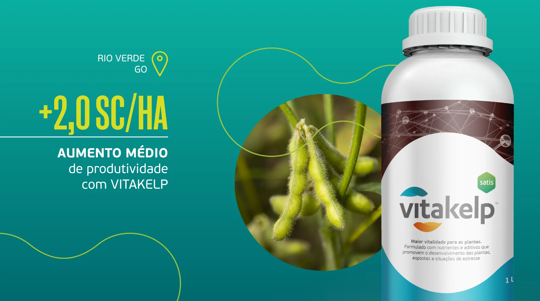 Ação bioestimulante na cultura da soja com Vitakelp