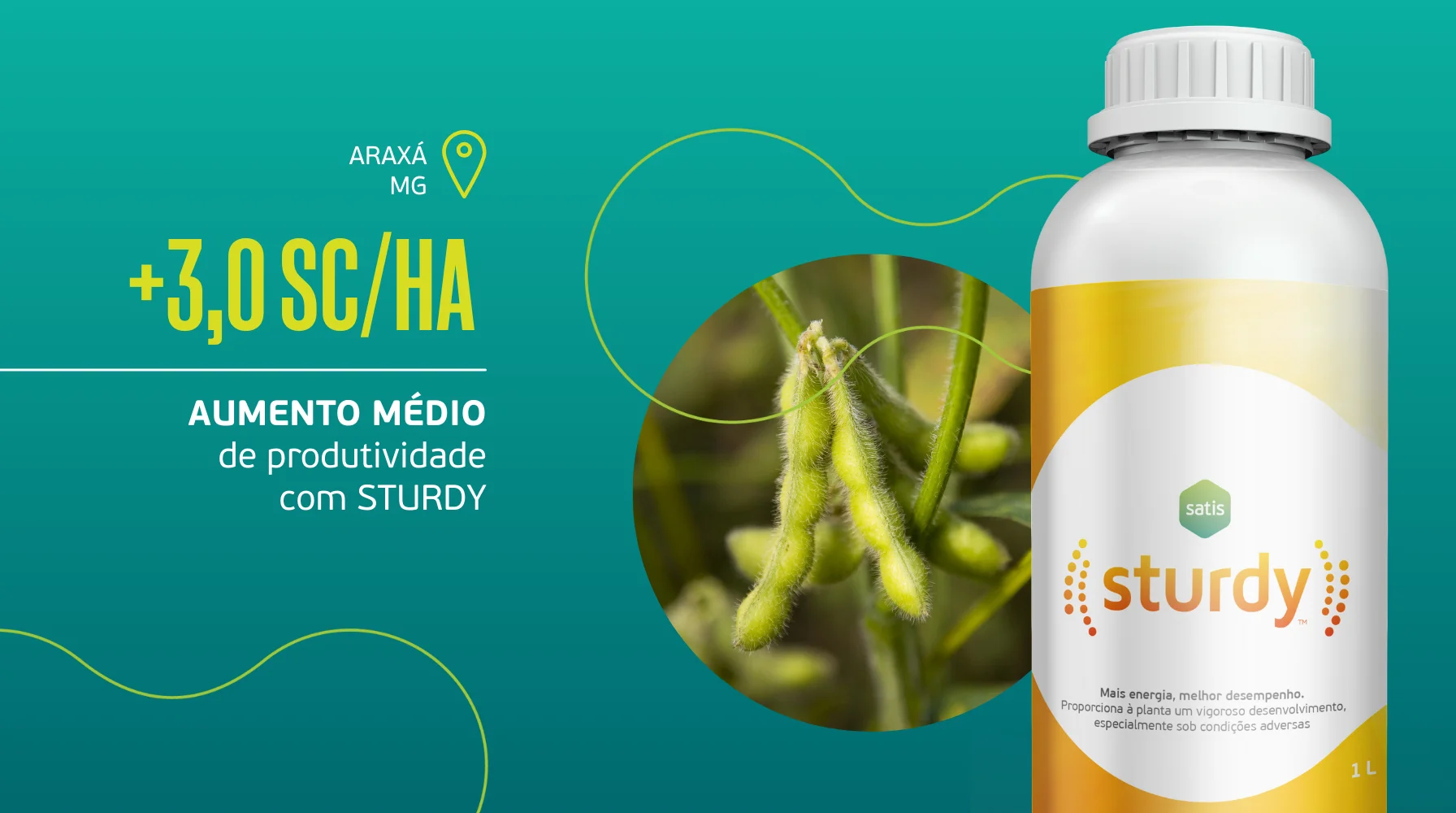 Maior produtividade e energia na soja com Sturdy