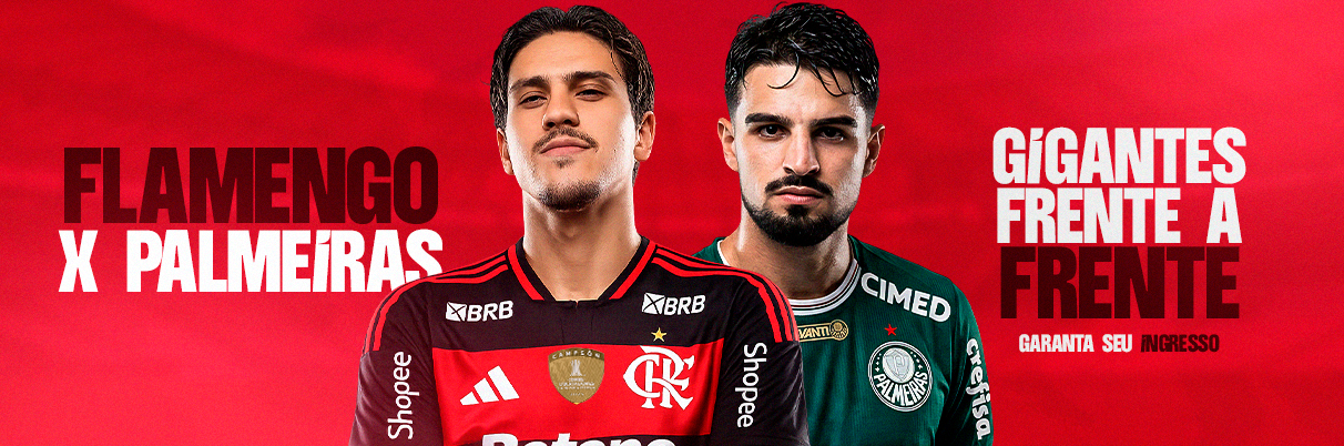 Brasileirão Série A / Flamengo x Palmeiras