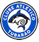 Tubarão Tubarão