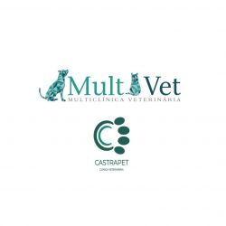 joão Paulo S. Resende