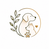 Clinica Veterinária Lilivet