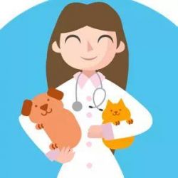 CENTRO MEDICO VETERINARIO DRA. DANIELLE GODINHO