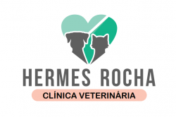 Izabela Rocha de Souza