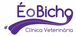 É o Bicho Clínica Veterinária