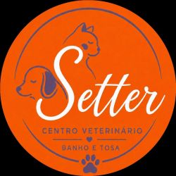 SETTER VETERINÁRIA