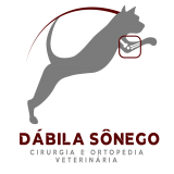 Dábila Sônego