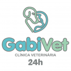 GabiVet 24h