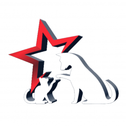 Clinica Veterinária StarPet