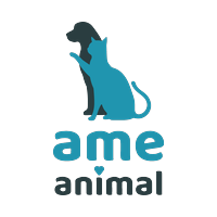 Ame Animal