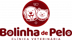 Bolinha de Pelo Clínica Veterinária Araripina