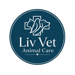 Liv Vet - São Sebastião