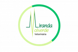 CLINICA VETERINARIA MIRANDA VALVERDE