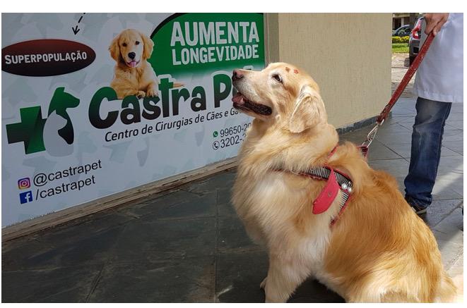 Serviços que Oferecemos: