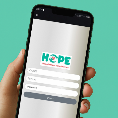 Resultados de Exames Online