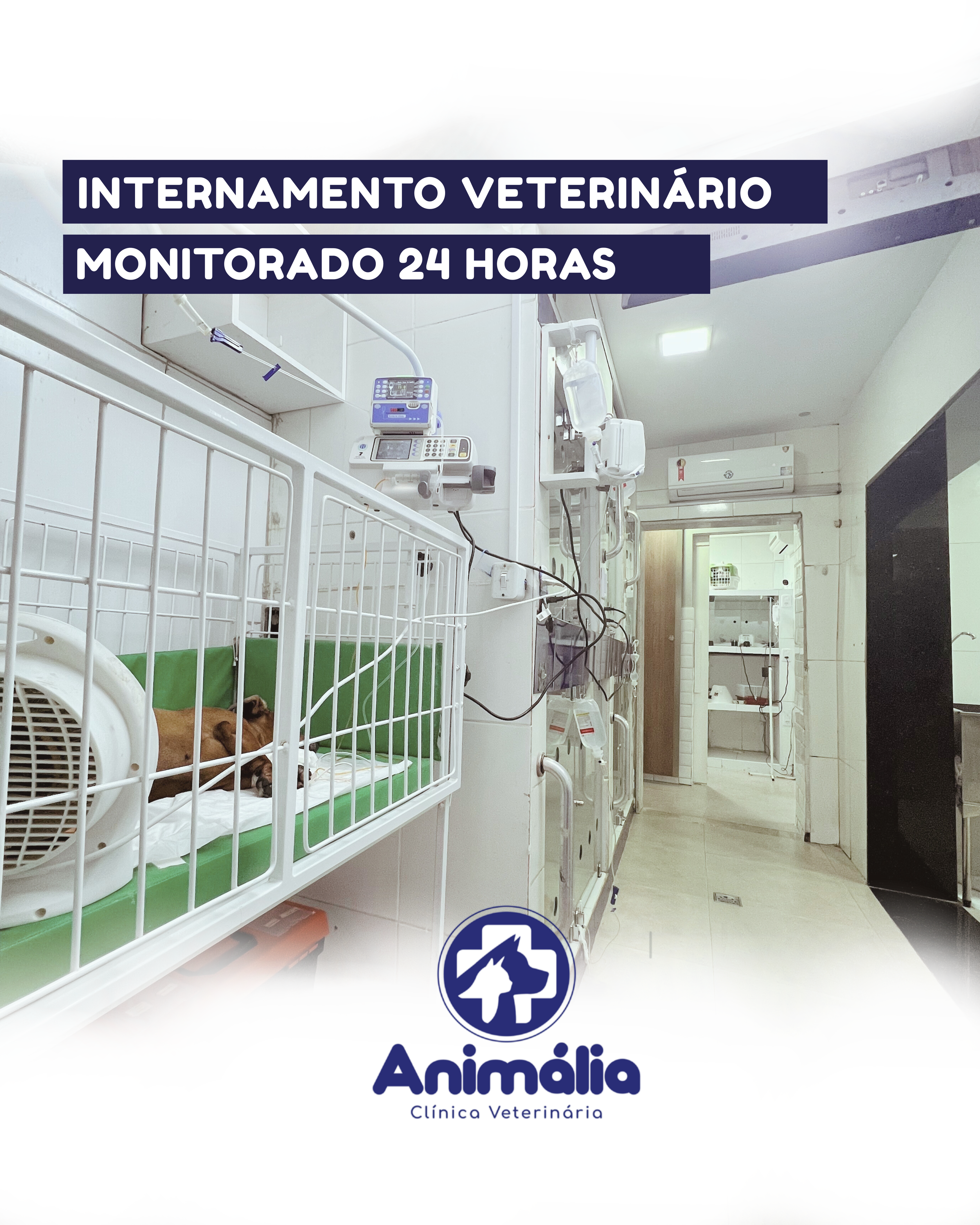 Internação