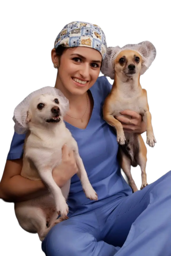 Ortopedia e Cirurgia Veterinária