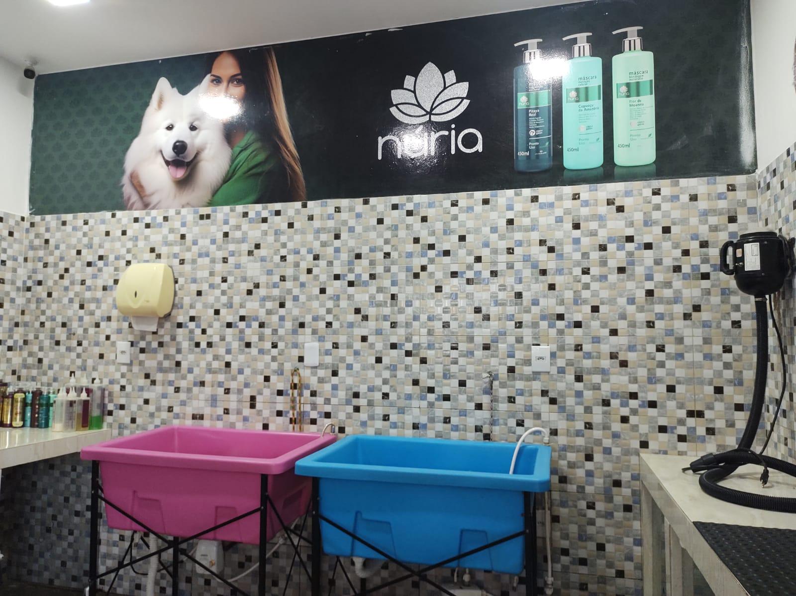 BANHO E TOSA