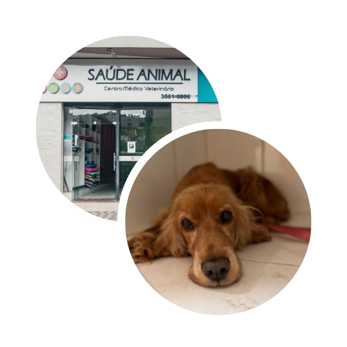 A maior, melhor e mais completa clínica veterinária de Itabirito e região dos inconfidentes!