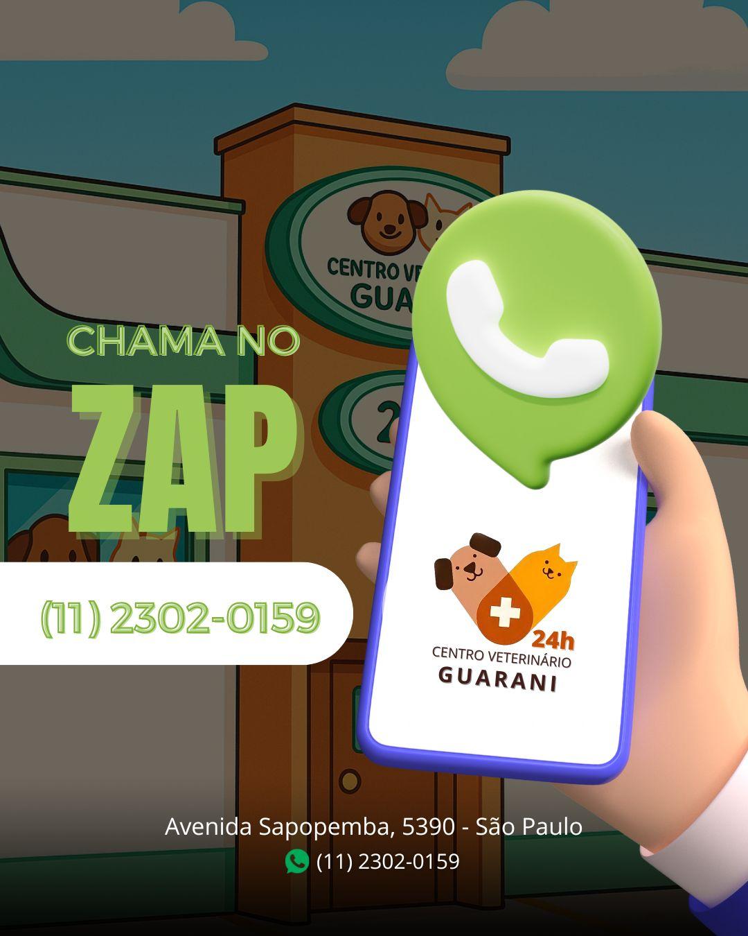 Entre em contato via WhatsApp!