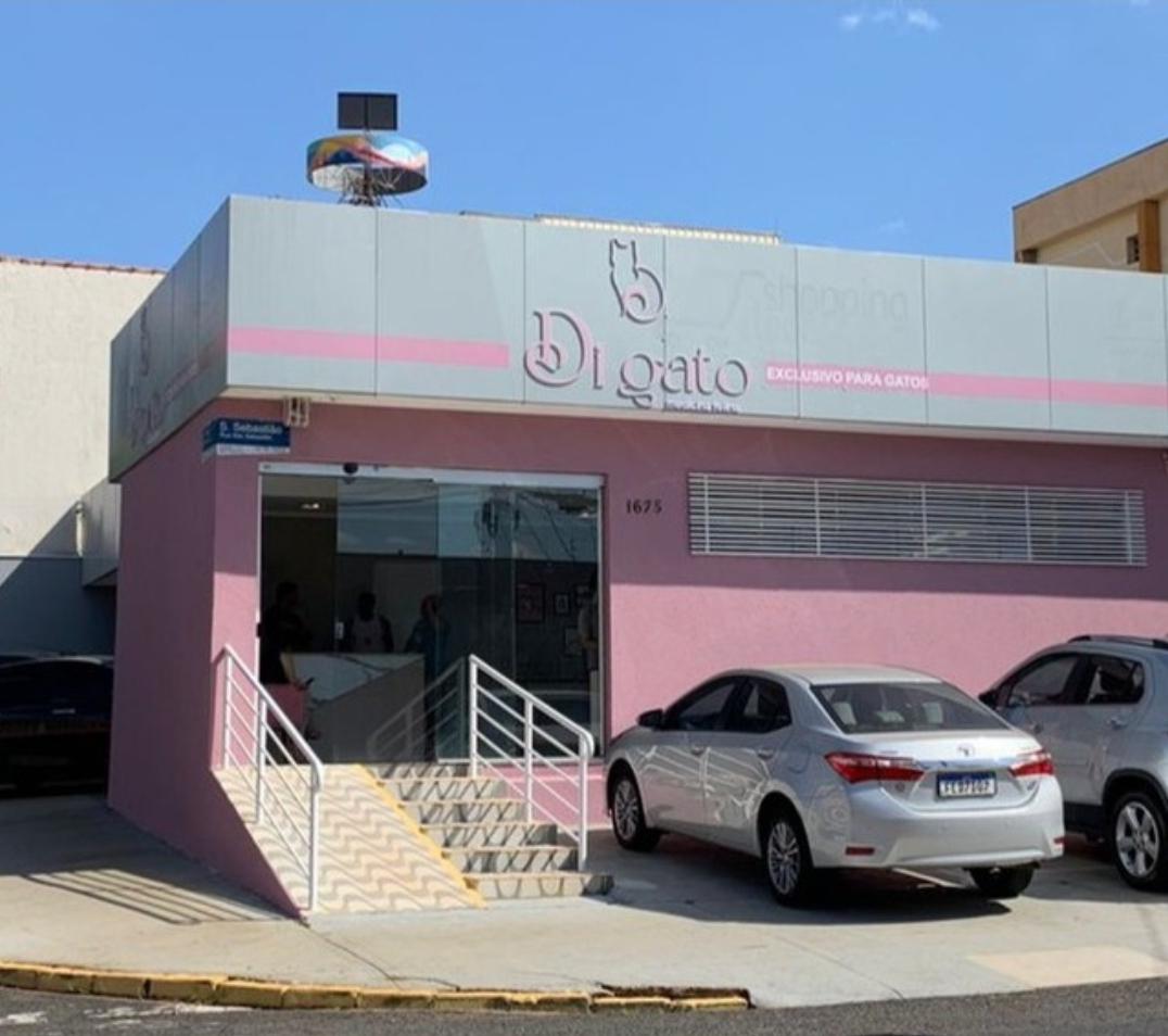 Estrutura completa